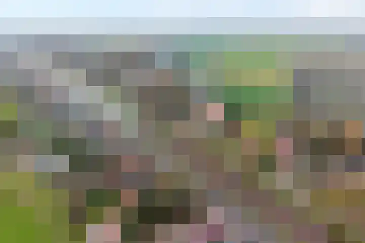 Parallelweg 78 De Krim thumbnail 7