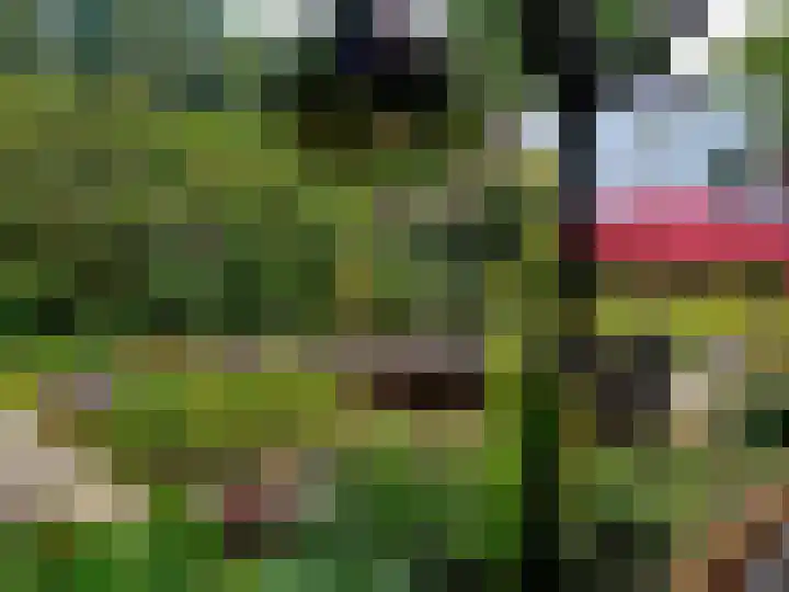 Parallelweg 78 De Krim thumbnail 70