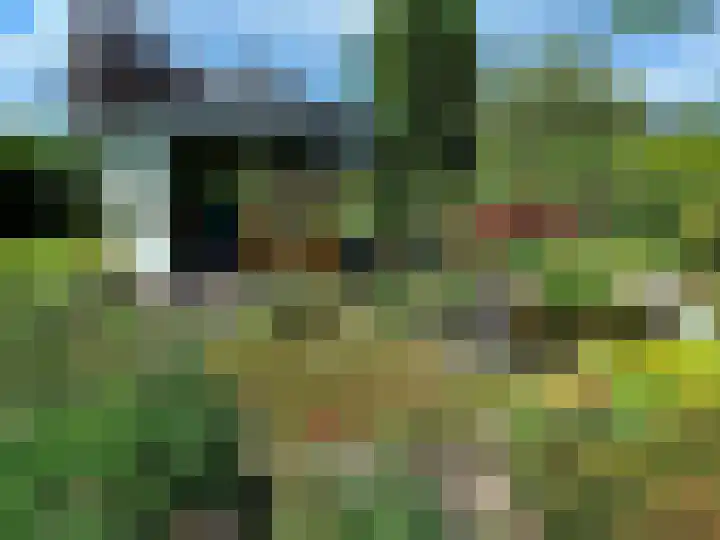 Parallelweg 78 De Krim thumbnail 75