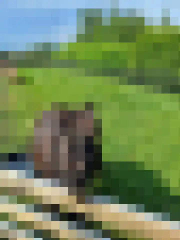 Parallelweg 78 De Krim thumbnail 76