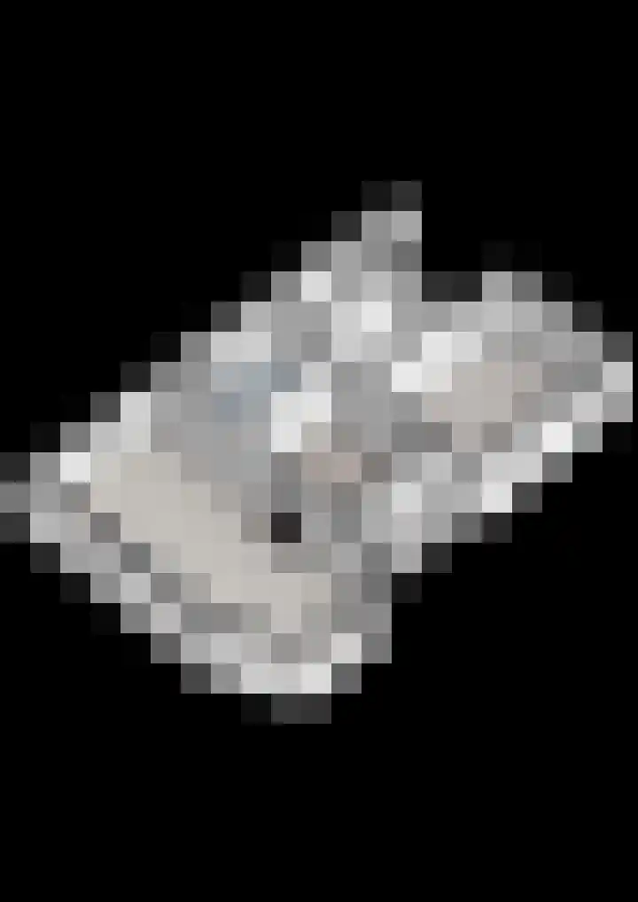 Parallelweg 78 De Krim thumbnail 79