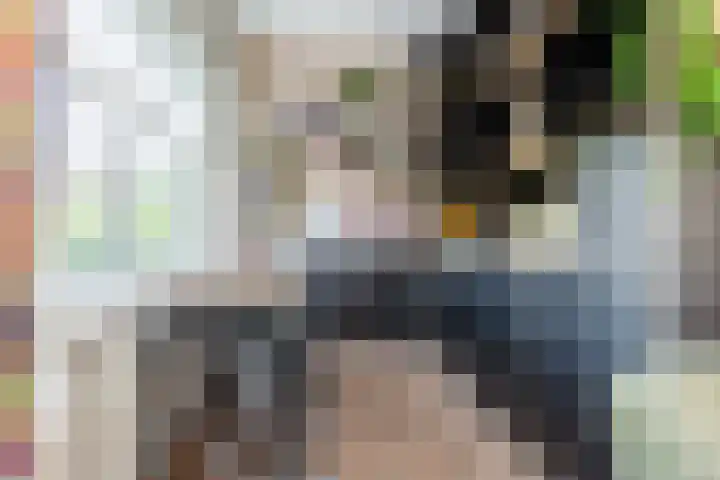 Parallelweg 78 Koog aan de Zaan thumbnail 18
