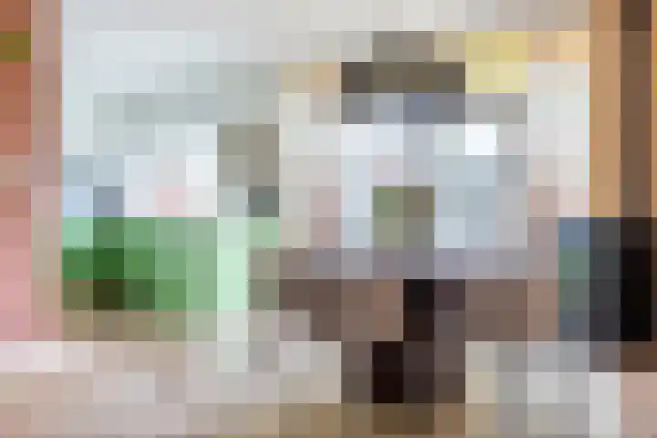 Parallelweg 78 Koog aan de Zaan thumbnail 20