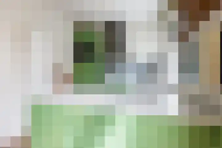 Parallelweg 78 Koog aan de Zaan thumbnail 23