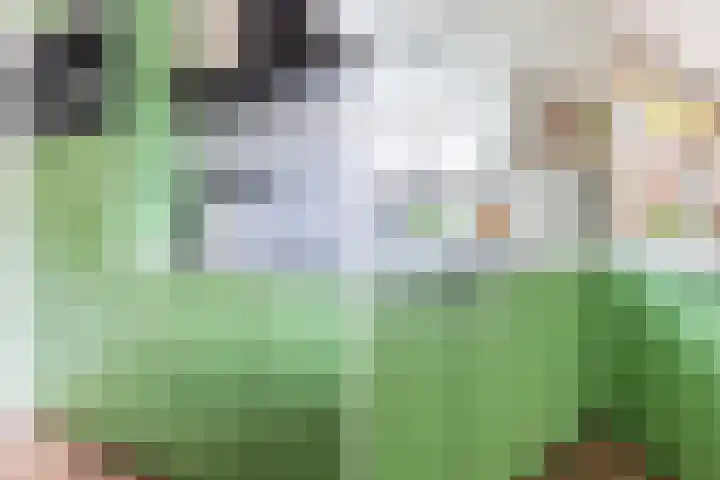 Parallelweg 78 Koog aan de Zaan thumbnail 25