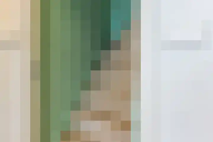 Parallelweg 78 Koog aan de Zaan thumbnail 40