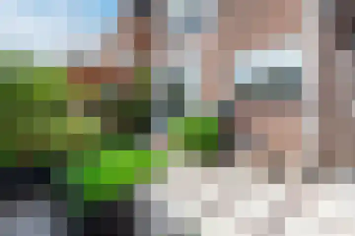 Parallelweg 78 Koog aan de Zaan thumbnail 47