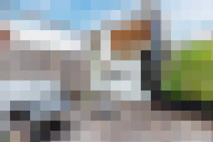 Parallelweg 78 Koog aan de Zaan thumbnail 49