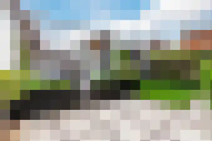 Parallelweg 78 Koog aan de Zaan thumbnail 5