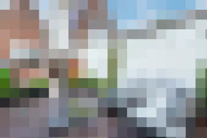 Parallelweg 78 Koog aan de Zaan thumbnail 51