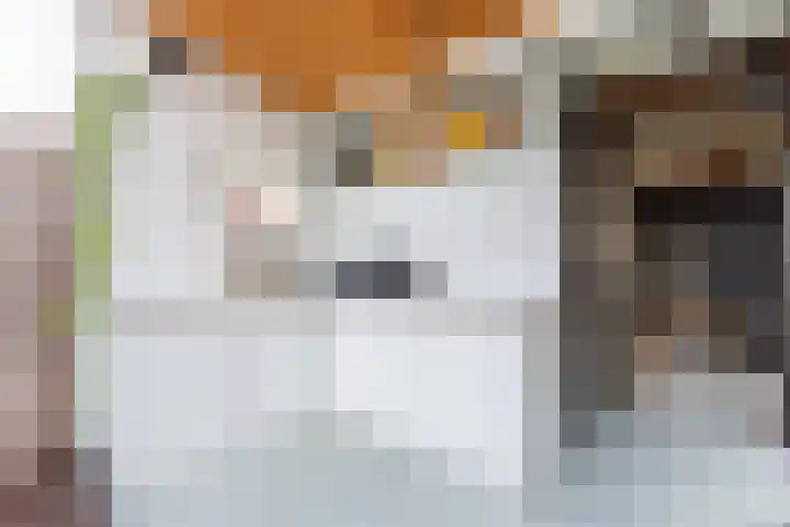 Parallelweg 78 Koog aan de Zaan thumbnail 53