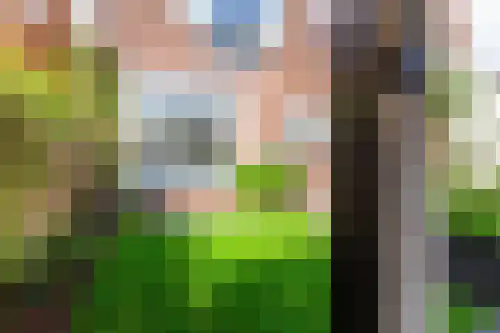Parallelweg 78 Koog aan de Zaan thumbnail 55