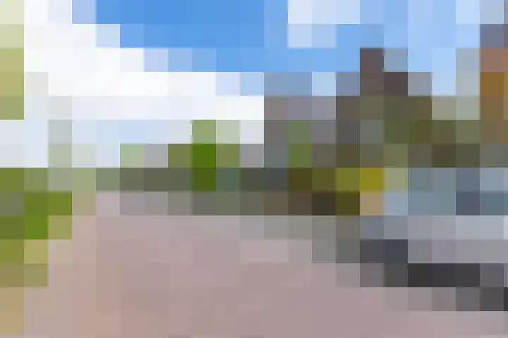 Parallelweg 78 Koog aan de Zaan thumbnail 56