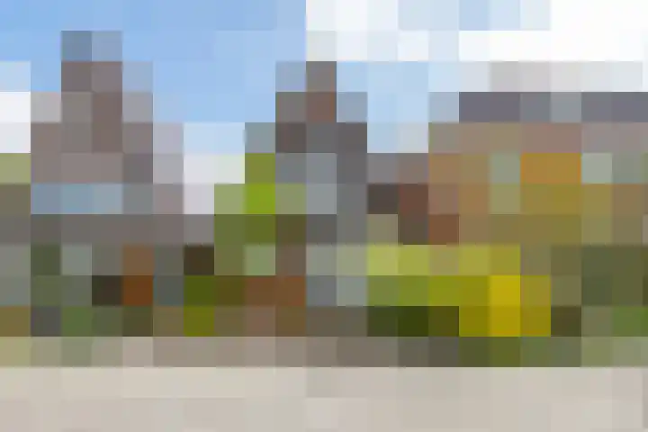 Parallelweg 78 Koog aan de Zaan thumbnail 6