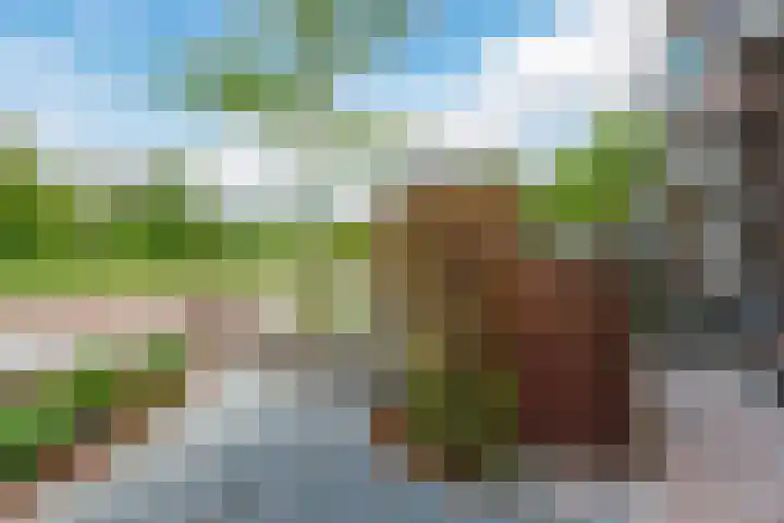 Parallelweg 78 Koog aan de Zaan thumbnail 7