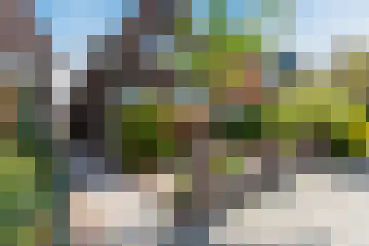 Parallelweg 78 Koog aan de Zaan thumbnail 8