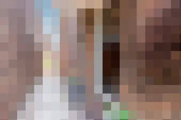 Parallelweg 78 Koog aan de Zaan thumbnail 9