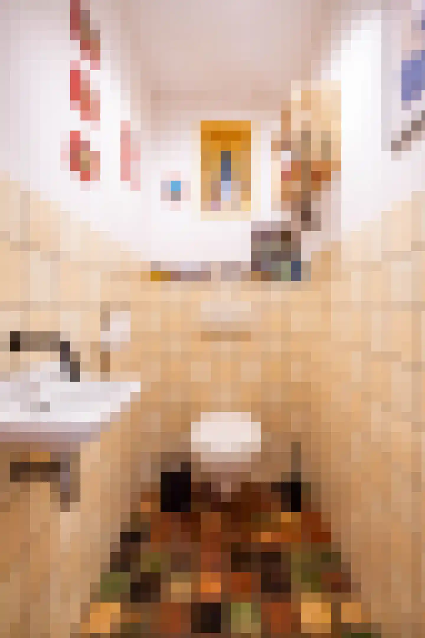 Parallelweg 8 A Buitenpost thumbnail 15