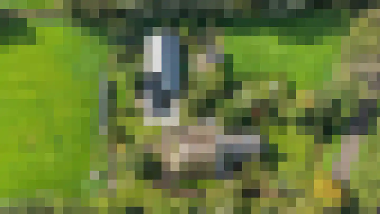 Parallelweg 8 A Buitenpost thumbnail 4