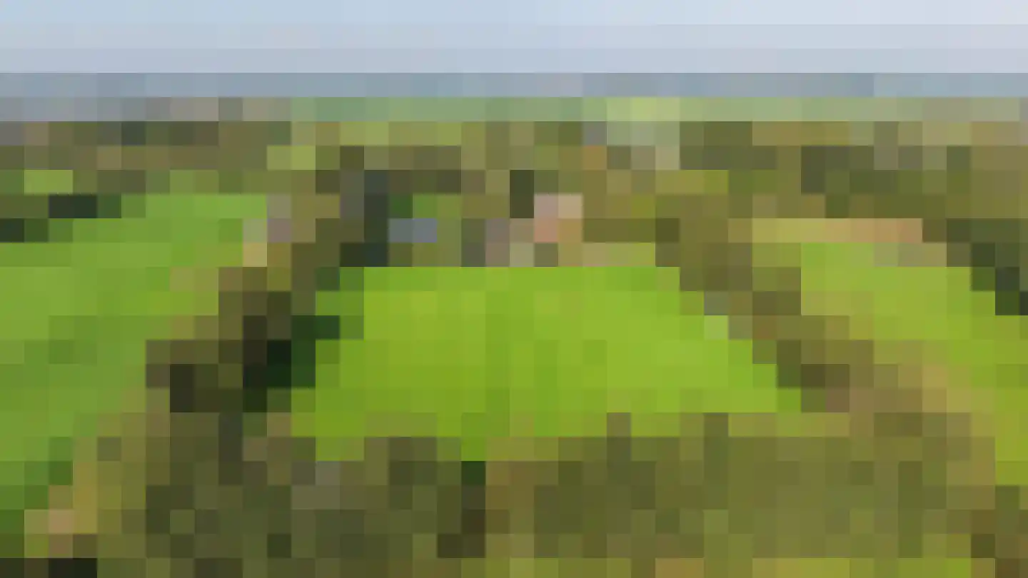 Parallelweg 8 A Buitenpost thumbnail 5