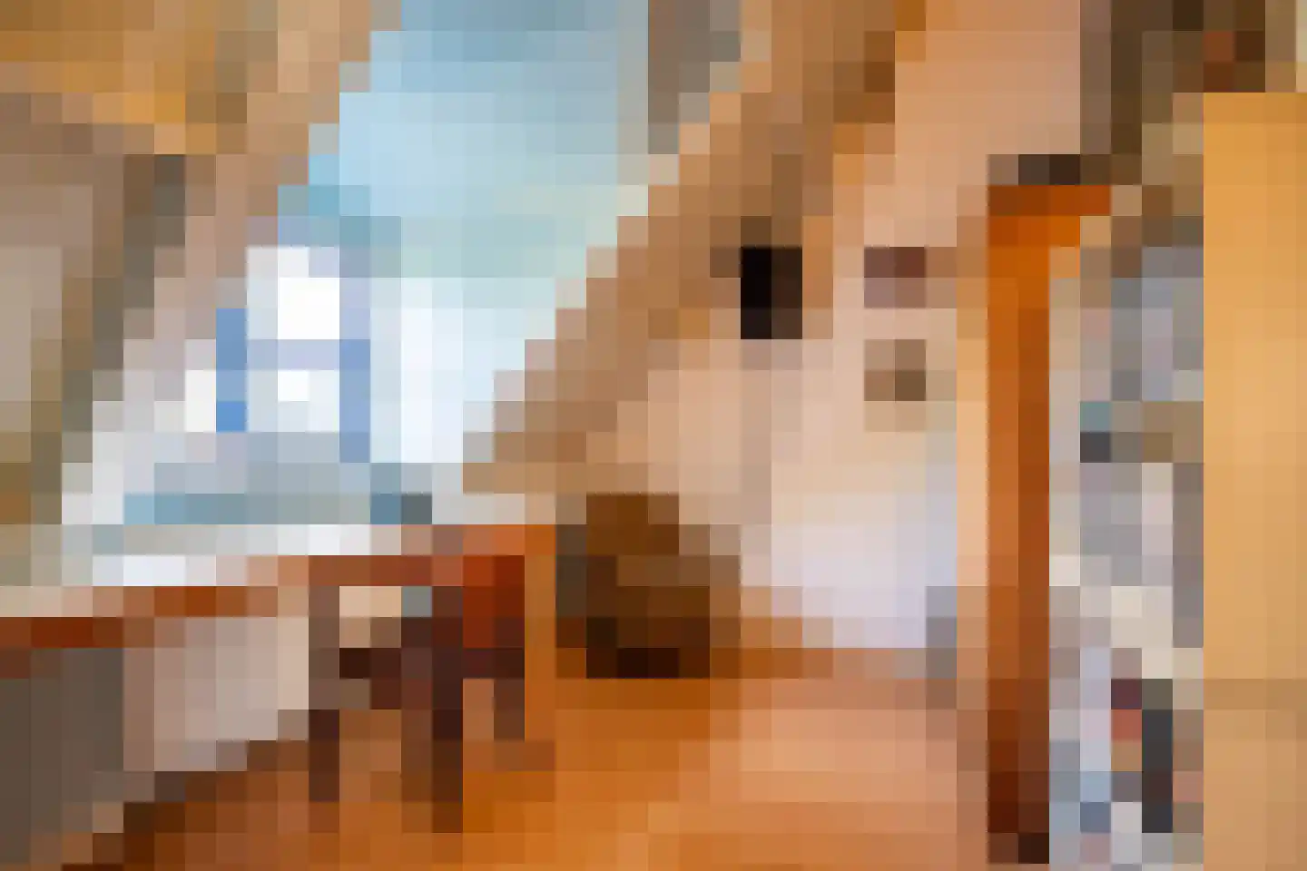 Parallelweg 8 A Buitenpost thumbnail 50