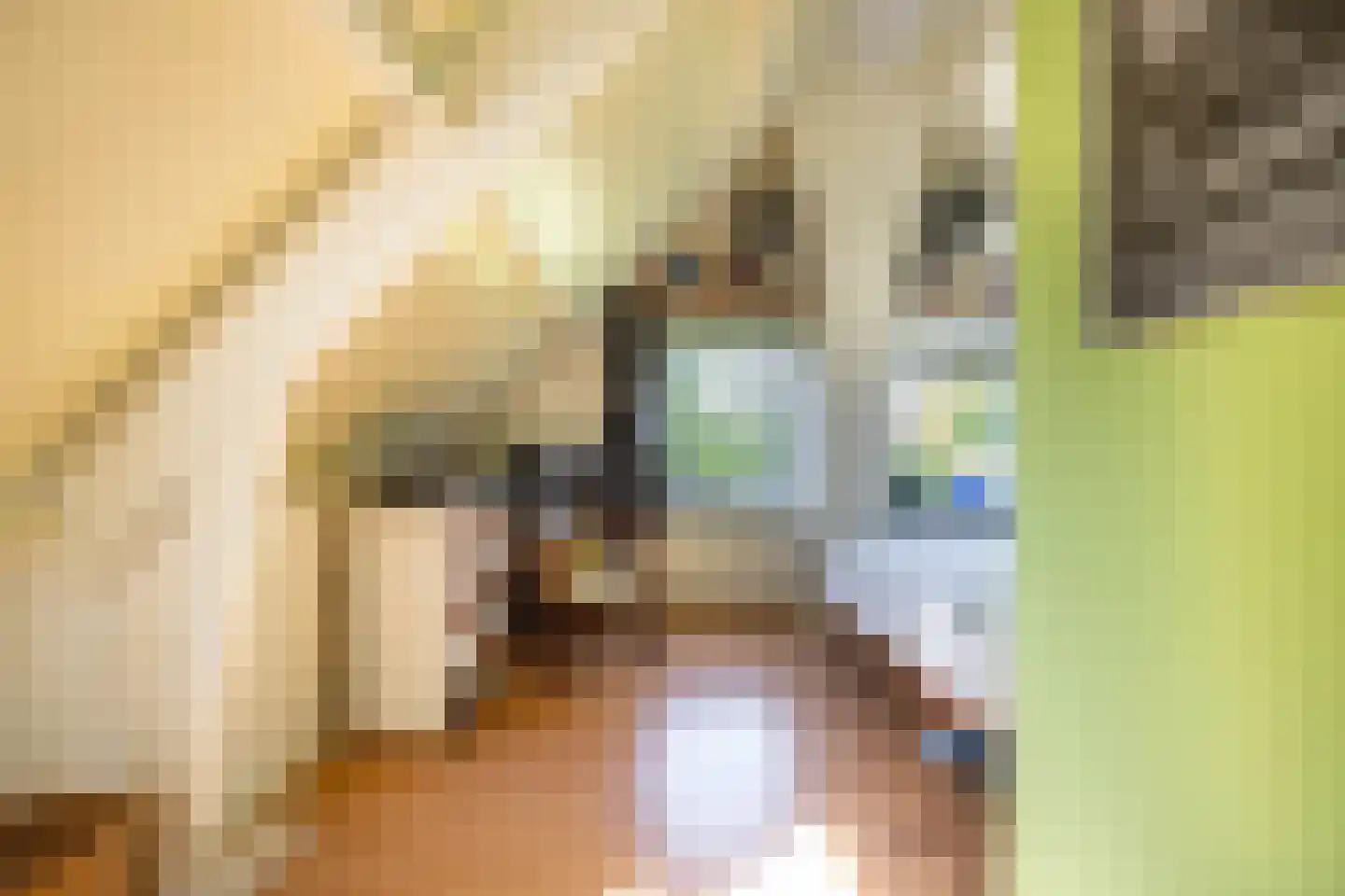 Parallelweg 8 A Buitenpost thumbnail 51