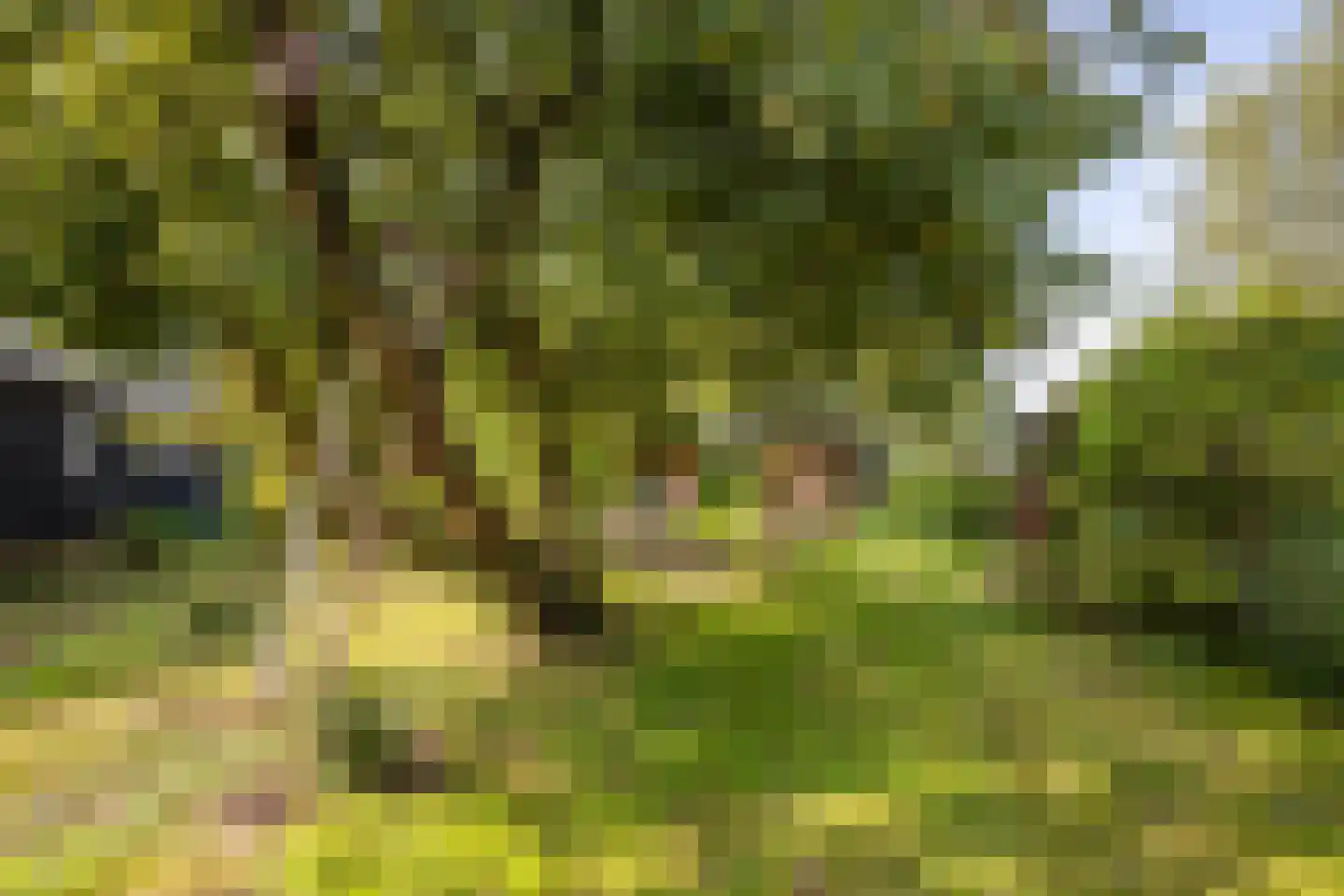 Parallelweg 8 A Buitenpost thumbnail 57