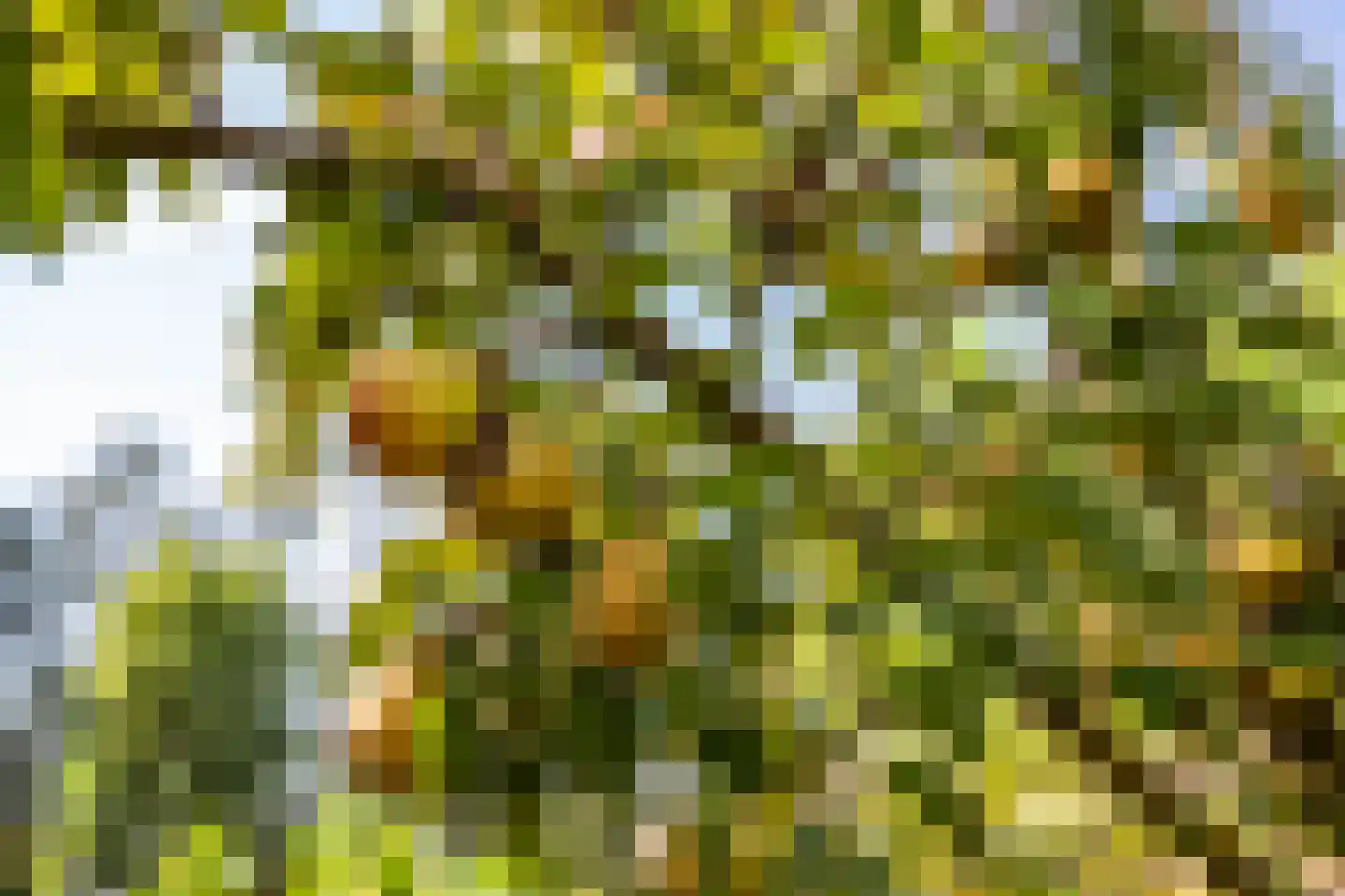 Parallelweg 8 A Buitenpost thumbnail 58