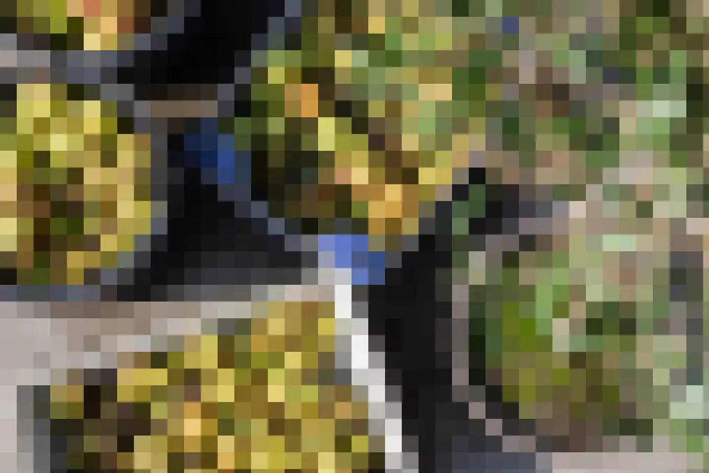 Parallelweg 8 A Buitenpost thumbnail 59
