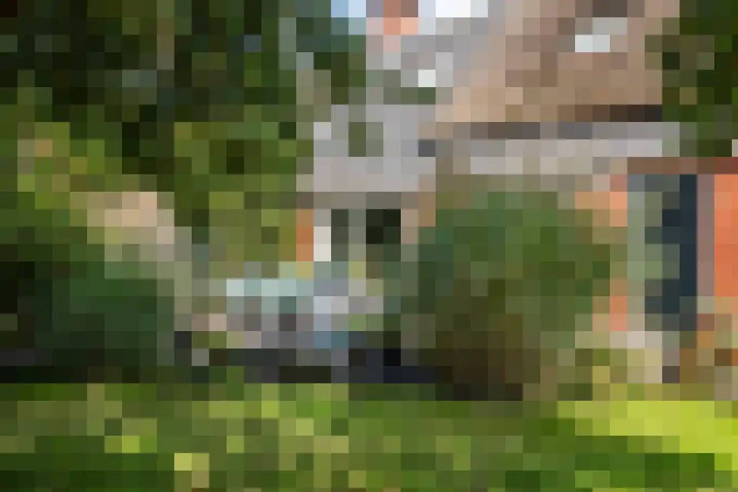 Parallelweg 8 A Buitenpost thumbnail 61