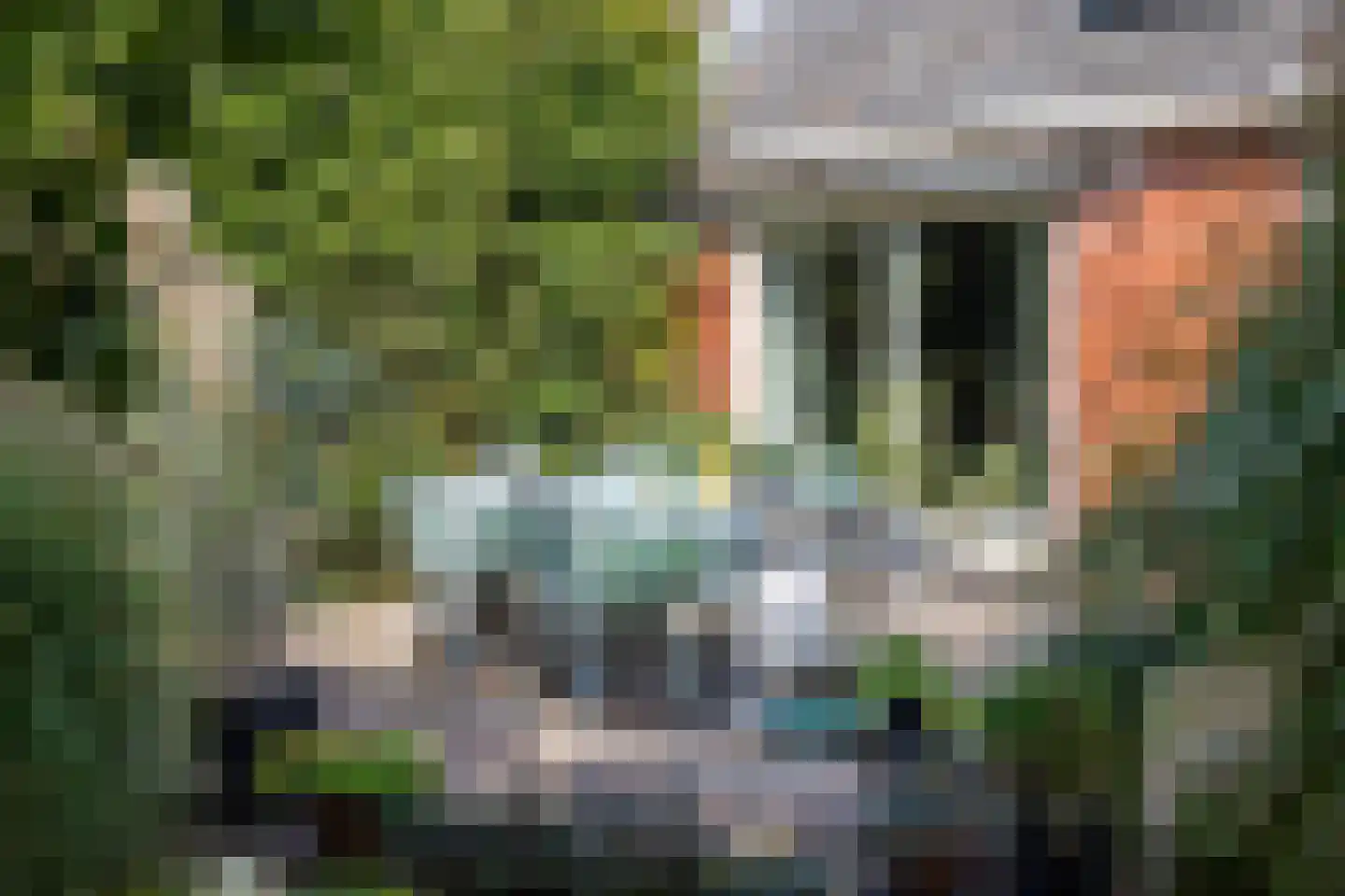 Parallelweg 8 A Buitenpost thumbnail 62