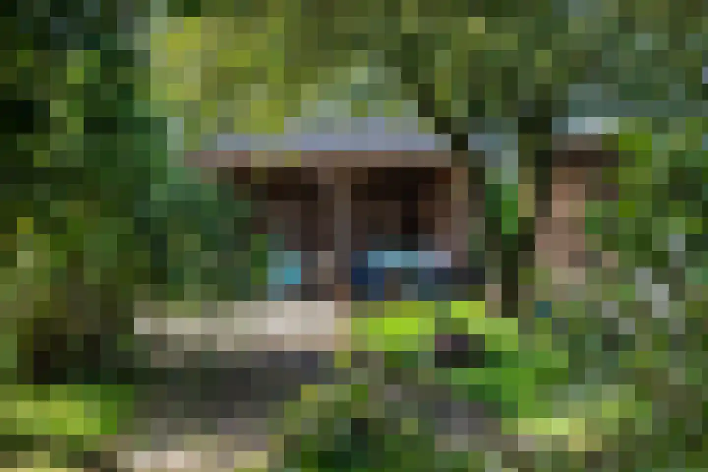 Parallelweg 8 A Buitenpost thumbnail 66