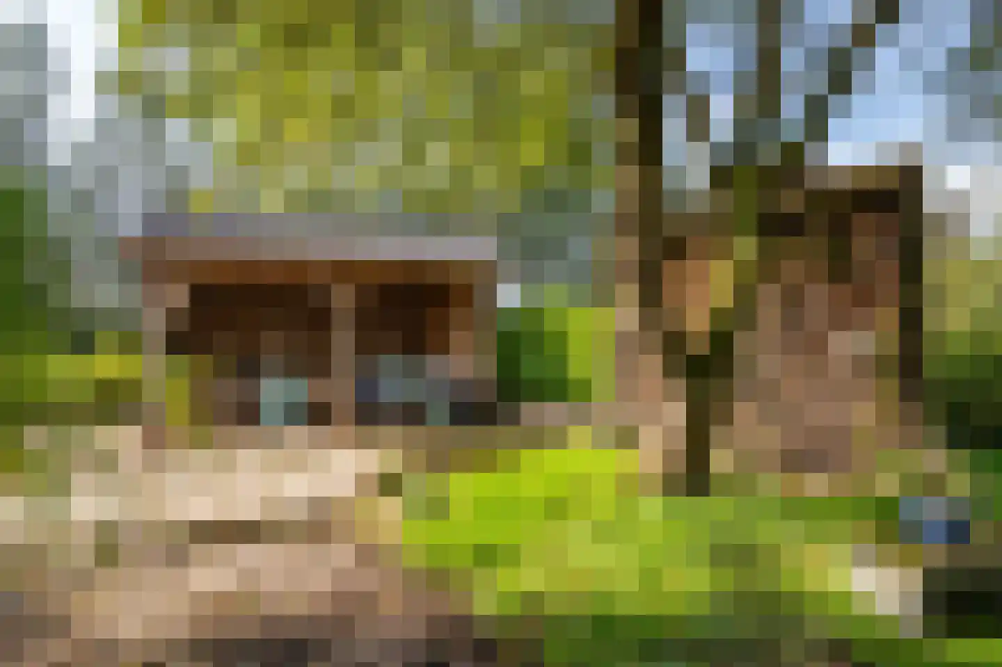 Parallelweg 8 A Buitenpost thumbnail 67