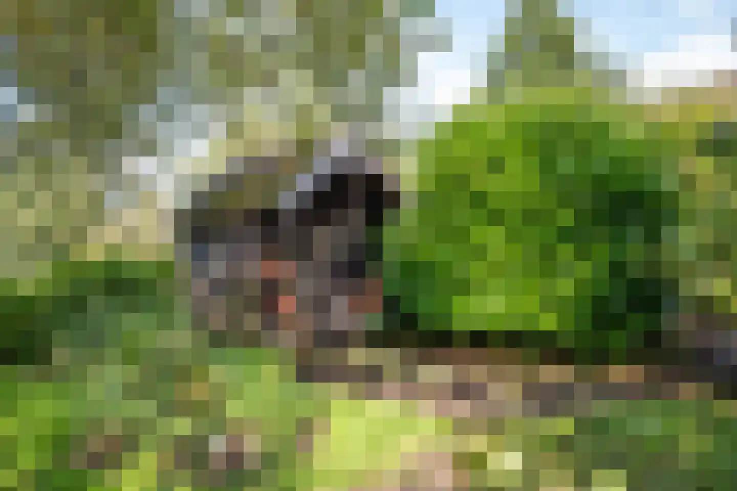 Parallelweg 8 A Buitenpost thumbnail 68