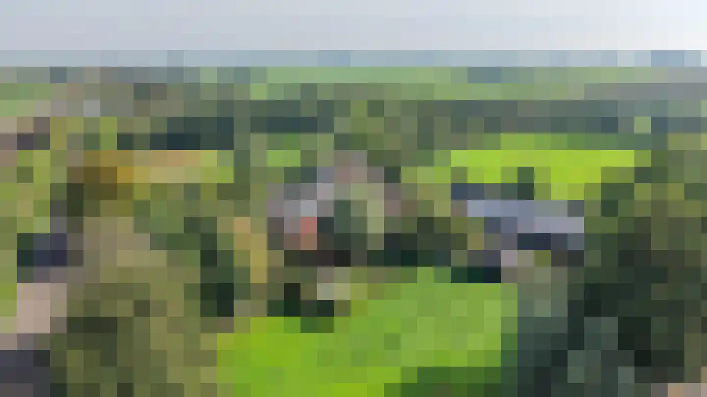 Parallelweg 8 A Buitenpost thumbnail 69