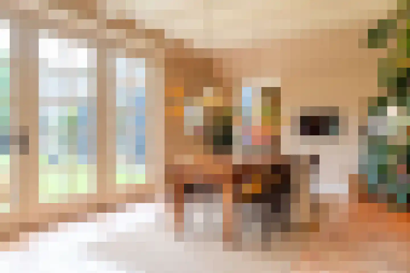 Parallelweg 8 Glimmen thumbnail 21
