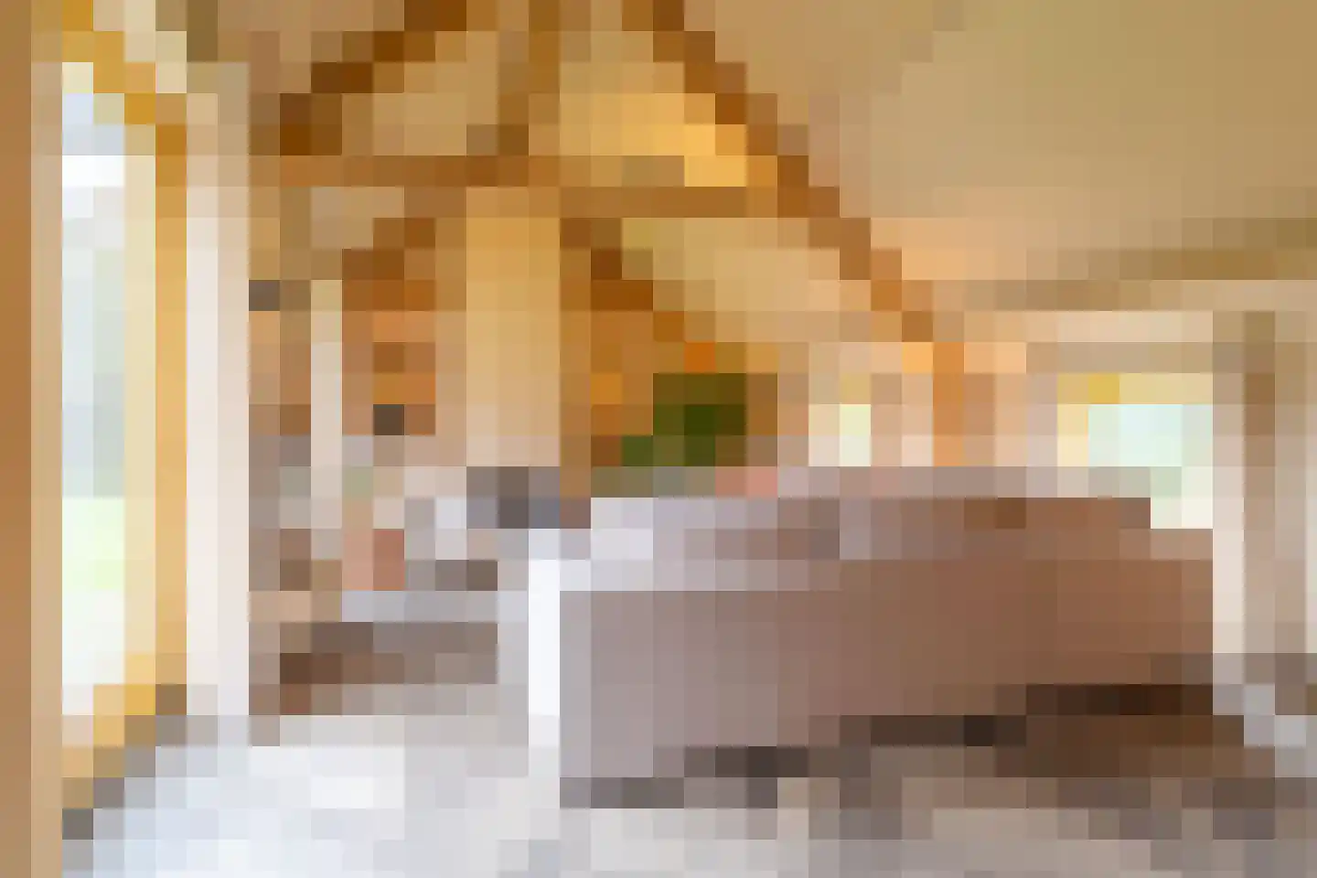 Parallelweg 8 Glimmen thumbnail 27