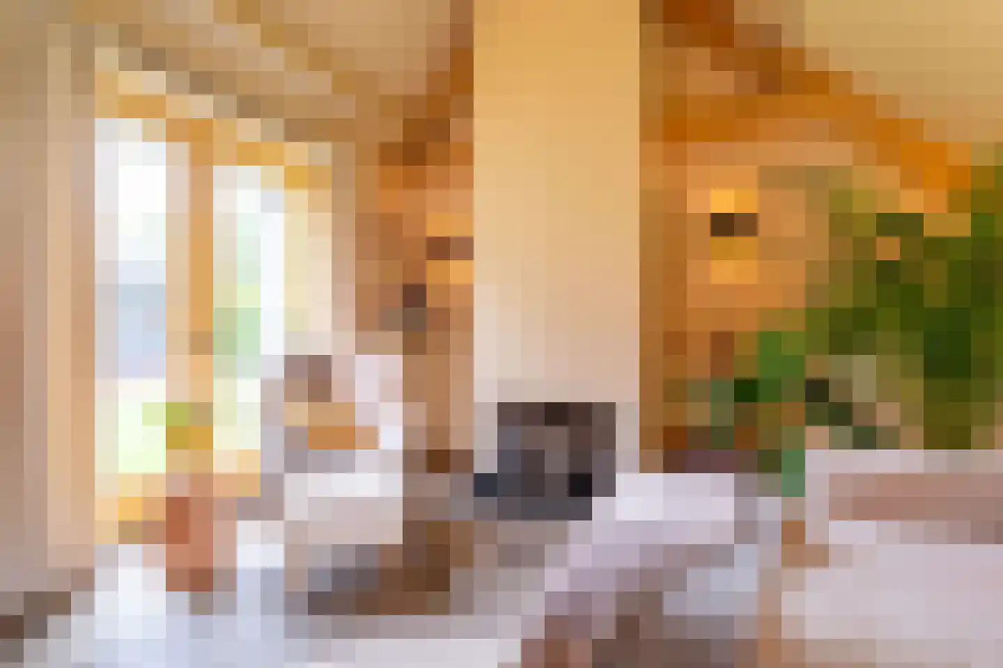 Parallelweg 8 Glimmen thumbnail 29
