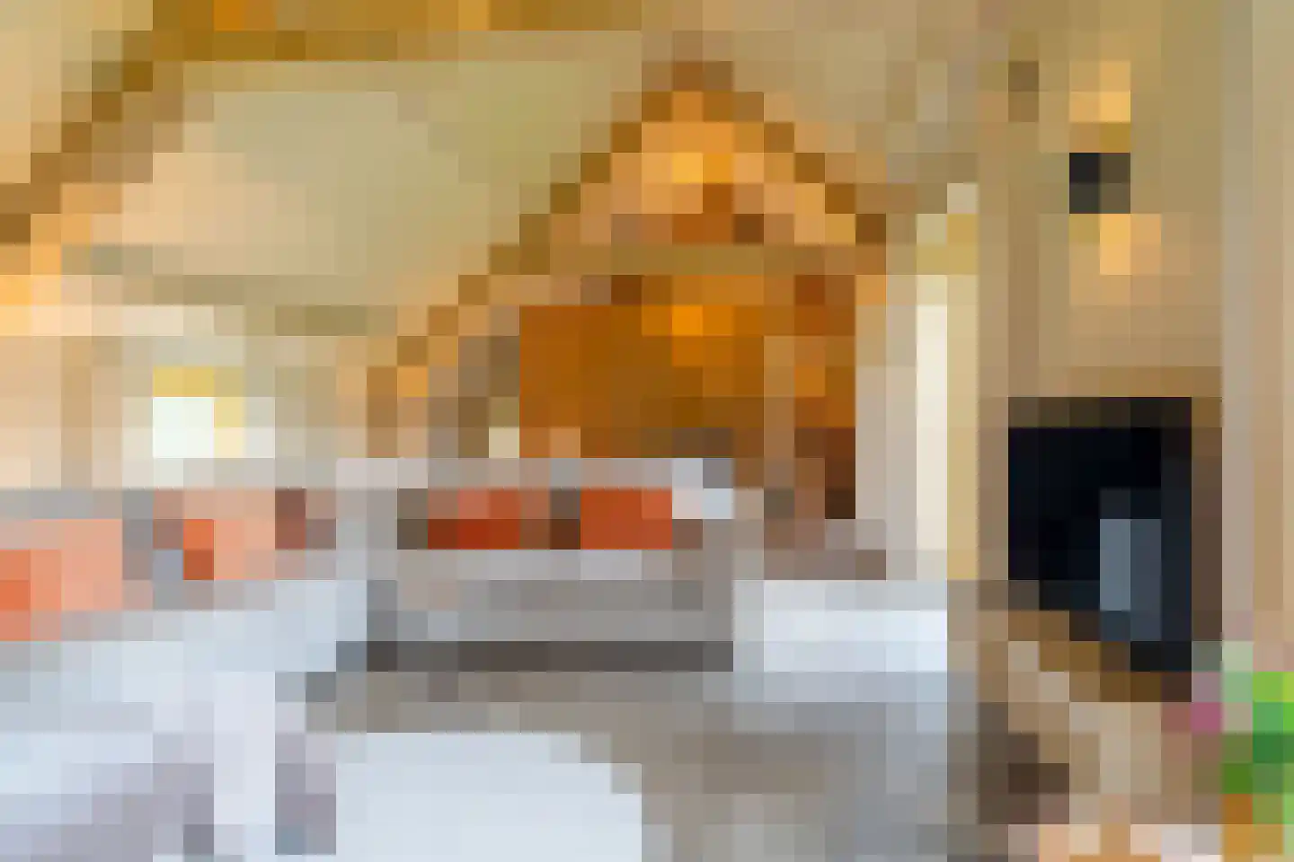 Parallelweg 8 Glimmen thumbnail 31