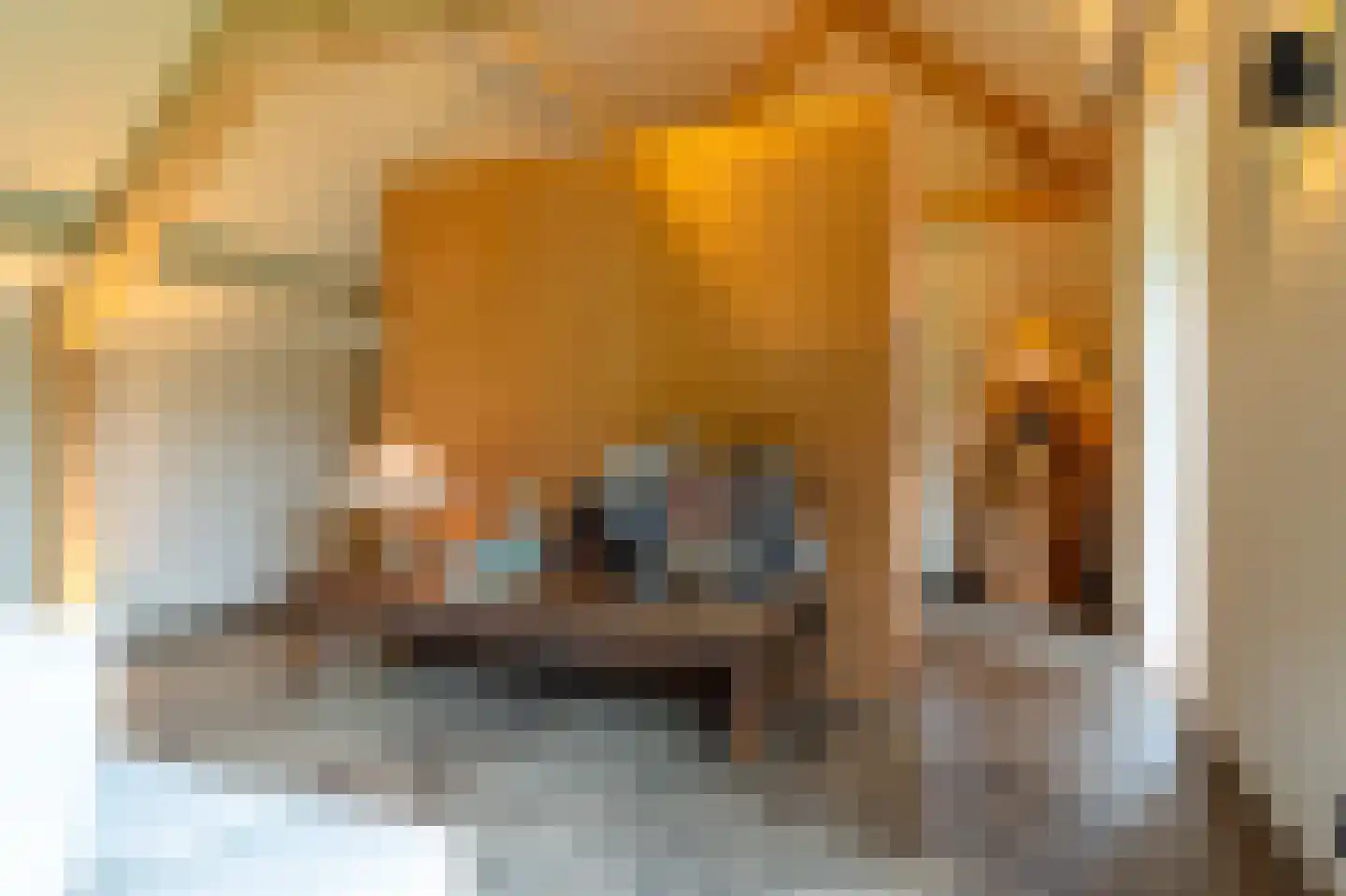 Parallelweg 8 Glimmen thumbnail 32