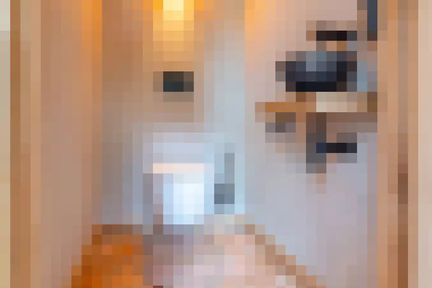 Parallelweg 8 Glimmen thumbnail 36