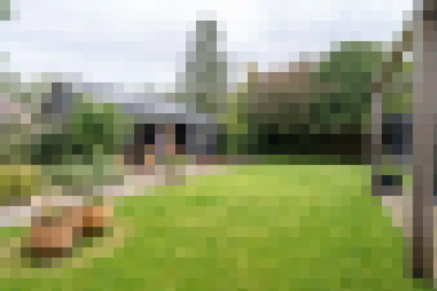 Parallelweg 8 Glimmen thumbnail 63