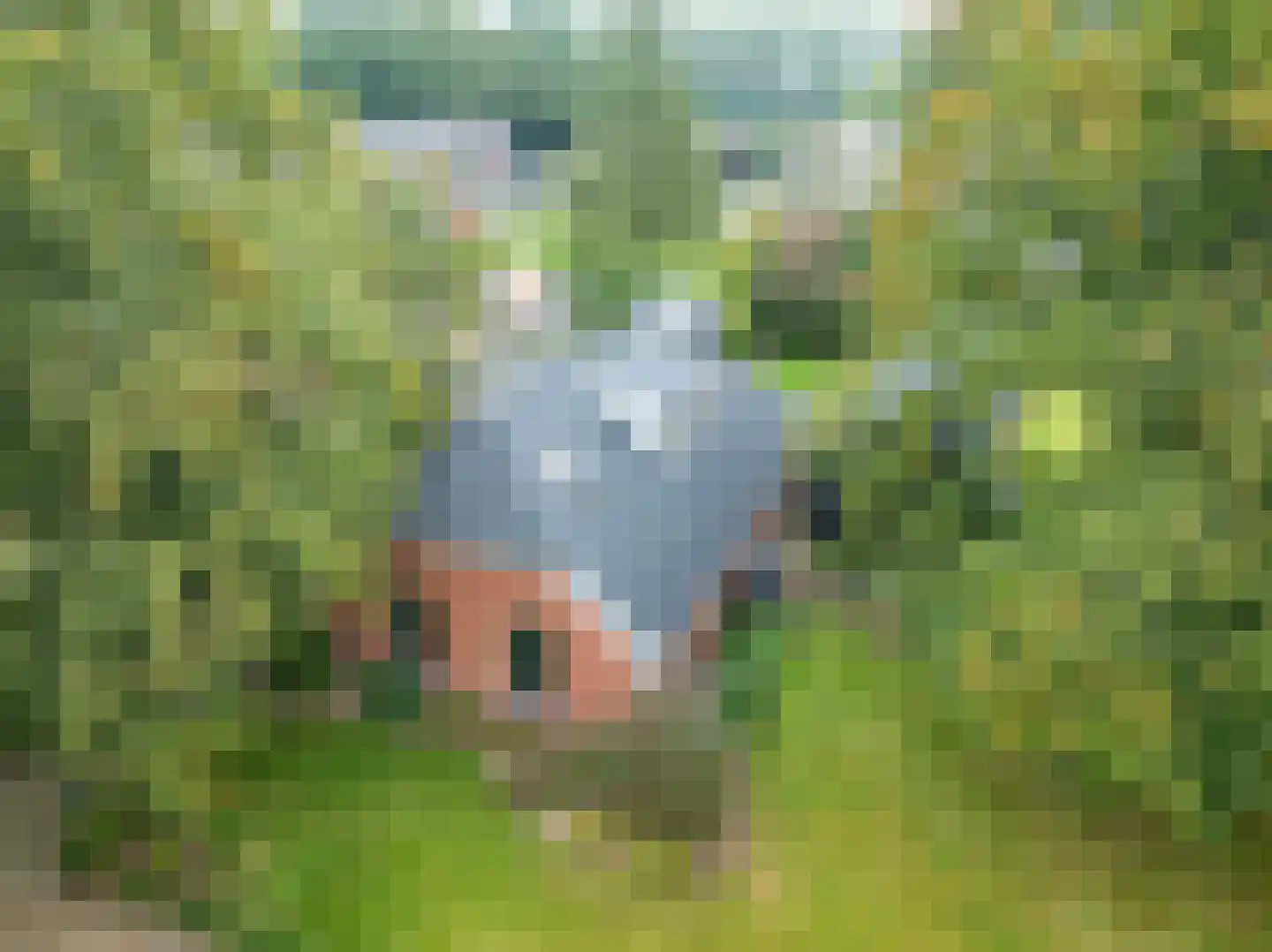 Parallelweg 8 Glimmen thumbnail 70