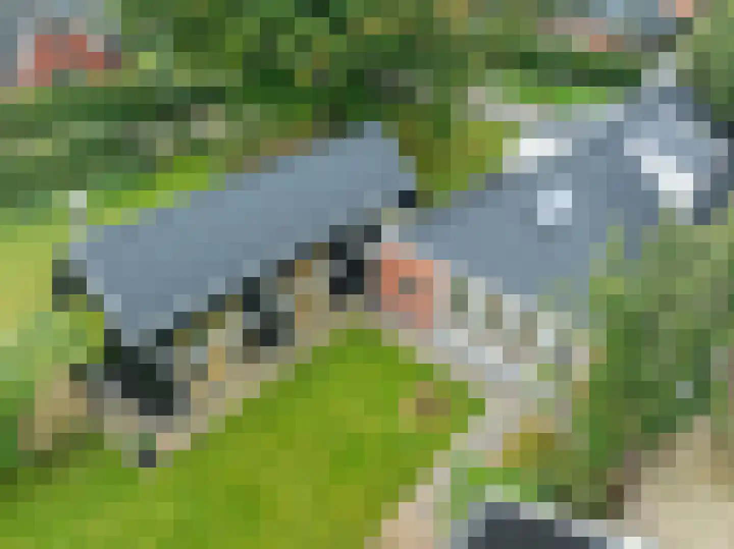 Parallelweg 8 Glimmen thumbnail 71