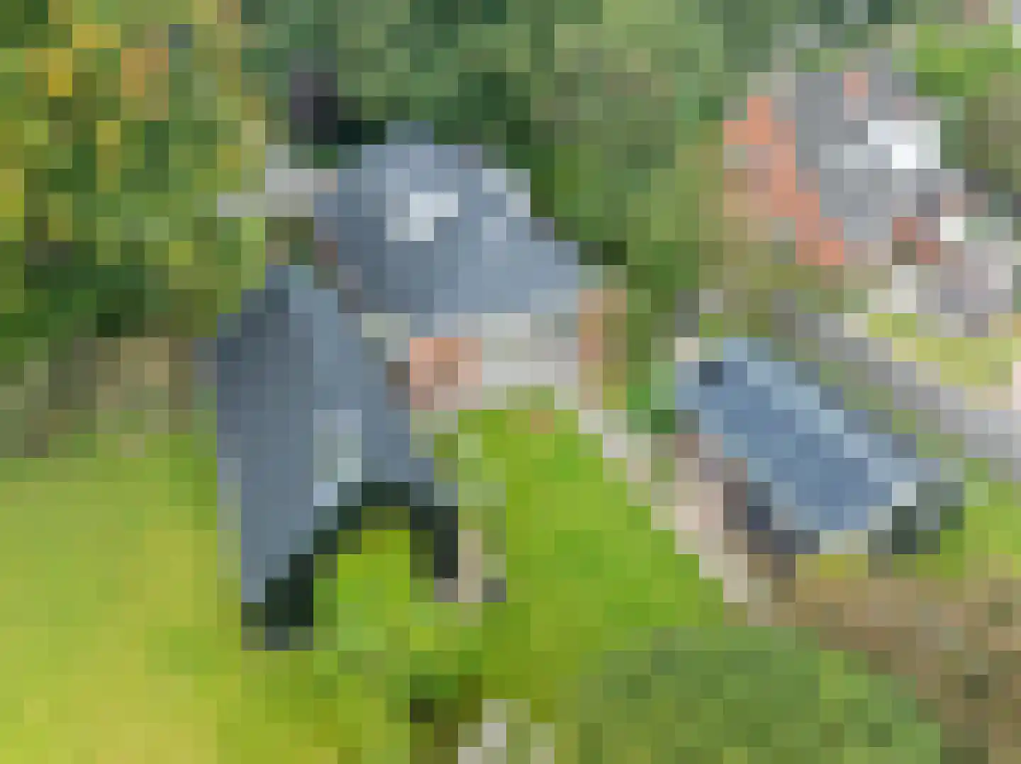 Parallelweg 8 Glimmen thumbnail 72