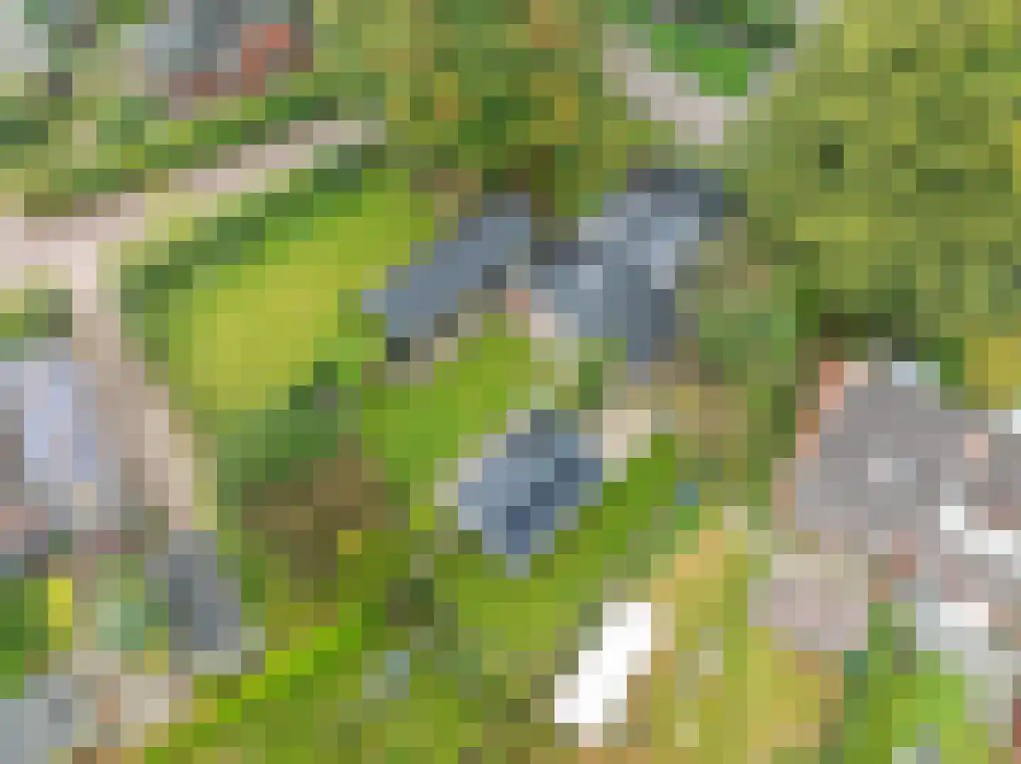 Parallelweg 8 Glimmen thumbnail 73