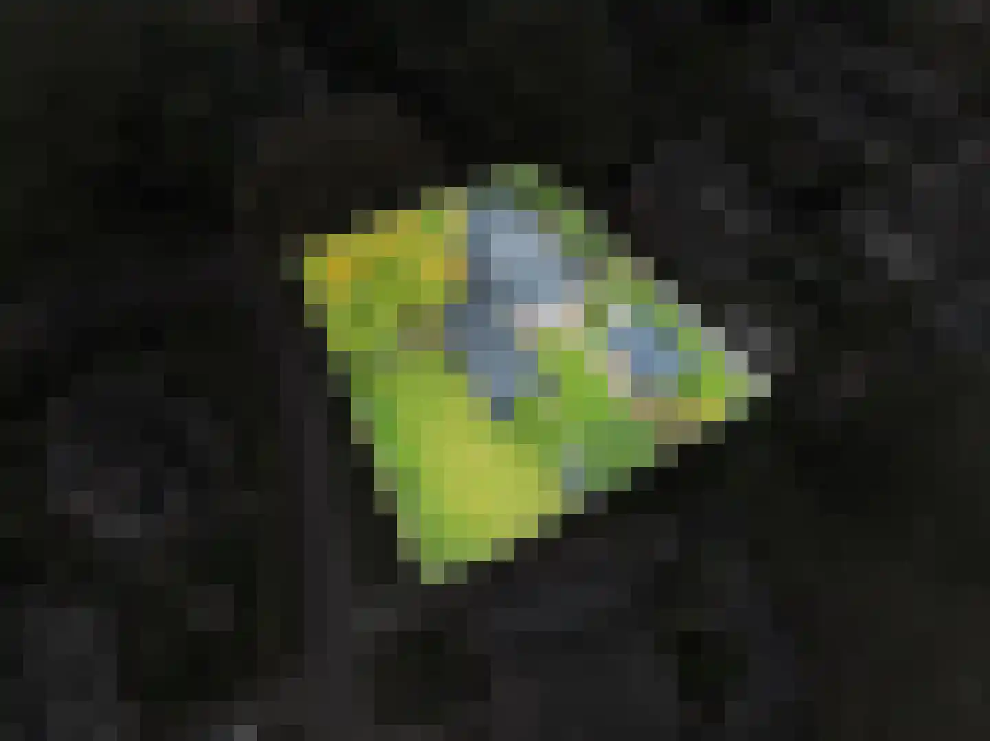 Parallelweg 8 Glimmen thumbnail 74