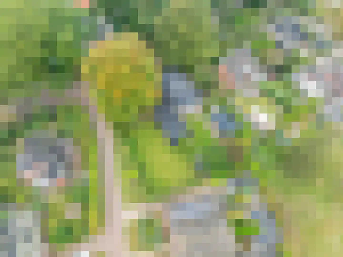 Parallelweg 8 Glimmen thumbnail 75