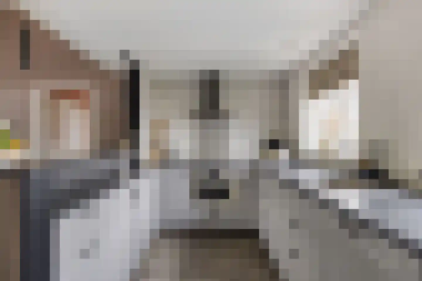 Parallelweg 8 Opheusden thumbnail 12