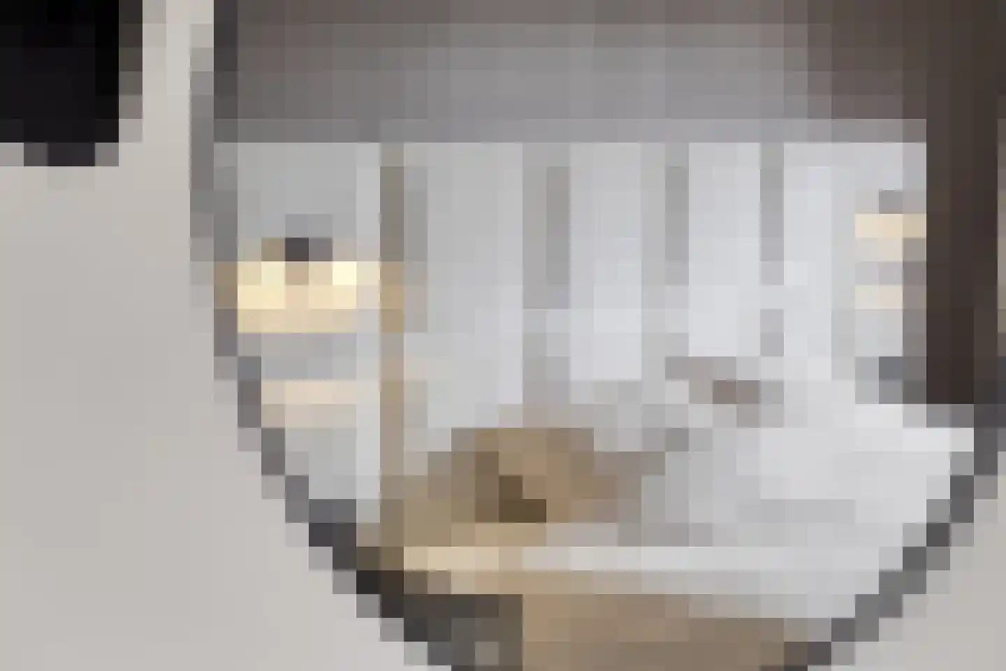 Parallelweg 8 Opheusden thumbnail 19